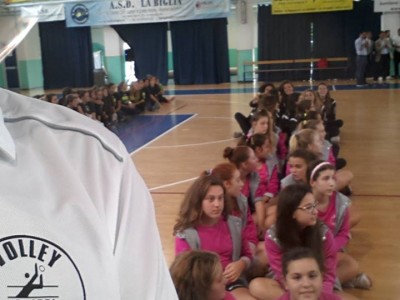 volley bareggio - pallavolo bareggio sedriano vittuone cisliano cornaredo