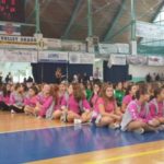 volley bareggio - pallavolo bareggio sedriano vittuone cisliano cornaredo